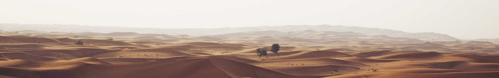 ؼѺó޹˾